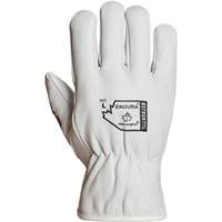 Gants de conducteur doubl&eacute;s pour l'hiver Endura, T-Grand, Paume en Cuir fleur de ch&egrave;vre, Thinsulate Distribution Jean Lapalme