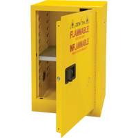 Flammable Storage Cabinet, 12 gal., 1 Door, 23" W x 35" H x 18" D Distribution Jean Lapalme