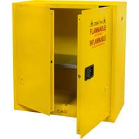 Flammable Storage Cabinet, 30 gal., 2 Door, 43" W x 44" H x 18" D Distribution Jean Lapalme