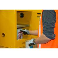 Flammable Storage Cabinet, 4 gal., 1 Door, 17" W x 22" H x 18" D Distribution Jean Lapalme
