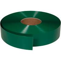 ArmorStripe&reg; Ultra Durable Floor Tape, 2" x 100', PVC, Green Distribution Jean Lapalme