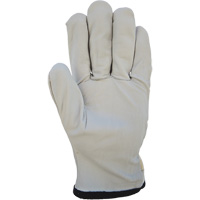 Cotton-Backed Drivers Gloves, Large, Grain Goatskin Palm Distribution Jean Lapalme