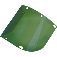 &eacute;cran facial form&eacute; Dynamic, Polycarbonate, Teinte Vert Distribution Jean Lapalme