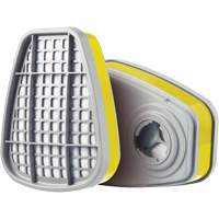 Cartridge, Gas/Vapour Cartridge, Multi-Gas/Vapour Distribution Jean Lapalme