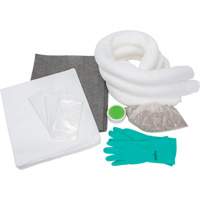 Trousse d'&eacute;quipement de lutte contre les d&eacute;versements, Huile seulement/Universel, Sac, Absorbance de 10 gal. US Distribution Jean Lapalme