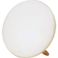 Jumbo Therapy Light for Seasonal Affective Disorder Distribution Jean Lapalme