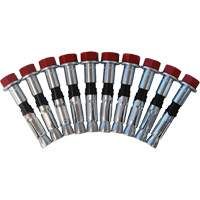 Replacement Bolt Kit for Concrete D-Ring Anchors, Bolt-On, Permanent/Temporary Use Distribution Jean Lapalme