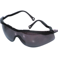 Lunettes de s&eacute;curit&eacute; North The Edge, Lentille Fum&eacute;e, Antibu&eacute;e/Anti-&eacute;gratignures, R&eacute;pond ou surpasse la norme CSA Z94.3 Distribution Jean Lapalme