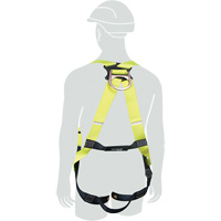 H1OO Harness, Medium/Small, 420 lbs. Cap. Distribution Jean Lapalme