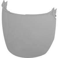 Lentilles de remplacement d&eacute;cran facial, Polycarbonate, Teinte Grise/fum&eacute;e Distribution Jean Lapalme