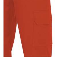 7765 Pantalon cargo de s&eacute;curit&eacute; haute visibilit&eacute; r&eacute;sistant aux arcs &eacute;lectriques FR-Tech 88/12, 30, x 32, Orange haute visibilit&eacute;, 10 cal/cm² Distribution Jean Lapalme