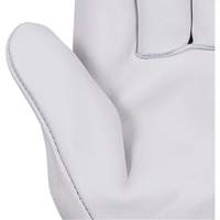 535G Gants de chauffeur beige, Petit, Paume en Cuir fleur de vache Distribution Jean Lapalme