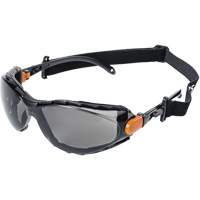 XPS502 Sealed Safety Glasses, Smoke Lens, Anti-Fog/Anti-Scratch Distribution Jean Lapalme