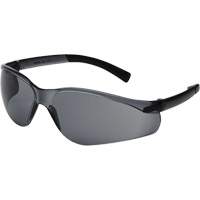 X300 Safety Glasses, Smoke Lens, Anti-Scratch, ANSI Z87+/Meets/Exceeds CSA Z94.3 Distribution Jean Lapalme