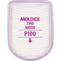 Semi-Rectangular Respirator Filter, Particulate Filter, P100 Filter Distribution Jean Lapalme