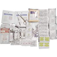 Shield Basic First Aid Kit Refill, Meets CSA Z1220-17 Type 2 Low-Risk Environment, Small (2-25 Workers) Distribution Jean Lapalme