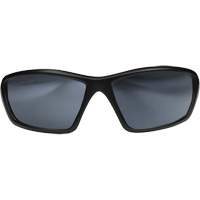 Lunettes de s&eacute;curit&eacute; Robson avec joint, Lentille Miroir argent&eacute;, Anti-&eacute;gratignures/Polaris&eacute;, ANSI Z87+/MCEPS GL-PD 10-12/R&eacute;pond ou surpasse la norme CSA Z94.3 Distribution Jean Lapalme