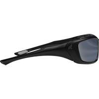 Lunettes de s&eacute;curit&eacute; Robson avec joint, Lentille Miroir argent&eacute;, Anti-&eacute;gratignures/Polaris&eacute;, ANSI Z87+/MCEPS GL-PD 10-12/R&eacute;pond ou surpasse la norme CSA Z94.3 Distribution Jean Lapalme
