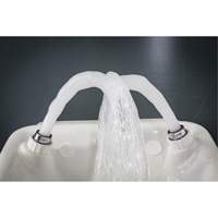 Eye/Face Wash, Wall-Mount Installation, Plastic Bowl Distribution Jean Lapalme