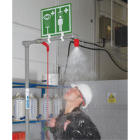 Combination Shower with Closed ABS Bowl & Top Inlet, Pedestal Distribution Jean Lapalme