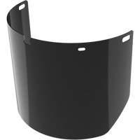 Lentille de rechange pour visi&egrave;re compl&egrave;te sans rev&ecirc;tement, Polycarbonate, Teinte 5,0 Distribution Jean Lapalme