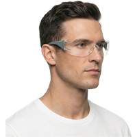 Adapt Lite Grey/Green Safety Glasses, Clear Lens, Anti-Fog/Anti-Scratch, ANSI Z87+/Meets/Exceeds CSA Z94.3 Distribution Jean Lapalme