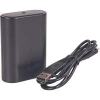 N-Ferno&reg; Portable Battery Power Bank with USB-C Cord Distribution Jean Lapalme