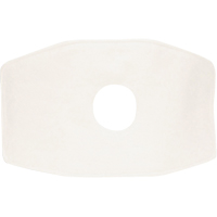 North&reg; Replacement Filter, Particulate Filter, N99 Filter Distribution Jean Lapalme
