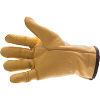 Anti-Vibration Leather Air Glove&reg;, Size X-Small, Grain Leather Palm Distribution Jean Lapalme