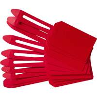 Blank Plastic Lock-On Tags, Plastic, 3-1/4" W x 5-4/5" H, Blank Distribution Jean Lapalme