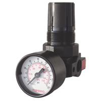 Mini Regulators, 1/4" NPT, 165 PSI Max. PSI, Modular Distribution Jean Lapalme