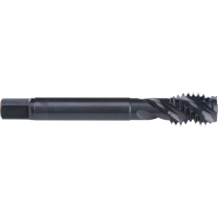 45° Spiral Flute Tap, High Speed Cobalt, 6-32 Thread, 2" L Distribution Jean Lapalme