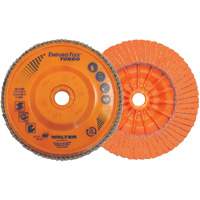 Enduro-Flex Turbo Flap Disc, 4-1/2" x 5/8"-11, 36/60 Grit Distribution Jean Lapalme