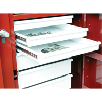 &eacute;tabli roulant, 49-7/8" la x 40-5/8" h x 26-7/8" p, Capacit&eacute; de 24,6 pi³ Distribution Jean Lapalme
