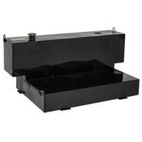 Steel Fuel Transfer Tank, Steel, 100 Gal. Capacity, Black Distribution Jean Lapalme