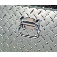 Aluminum Fuel Transfer Tank & Chest, Aluminum, 74 gal. Capacity, Silver Distribution Jean Lapalme