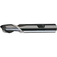HG-2 Finishing End Mill, 5/16"/0.3125" Dia., 3-1/8"/79.38 mm L, 2 Flutes, 3/8"/9.52 mm Shank, High Speed Steel Distribution Jean Lapalme
