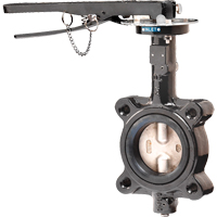Butterfly Valves - Series BFV, 2" Pipe, 225 PSI Distribution Jean Lapalme