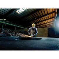 Angle Grinder, 7", 120 V, 8450 RPM Distribution Jean Lapalme
