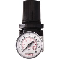 Regulators, 1/4" NPT, 150 PSI Max. PSI, Modular Distribution Jean Lapalme