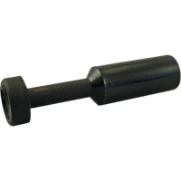 P.t.c. Plug Distribution Jean Lapalme