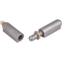 Weld-On Hinge, 0.512" Dia. x 3.15" L, Mild Steel w/Fixed Steel Pin Distribution Jean Lapalme