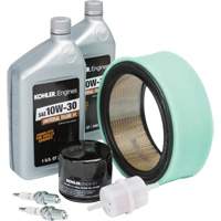 Kohler&reg; Tune Up Kit for Engine Maintenance Distribution Jean Lapalme
