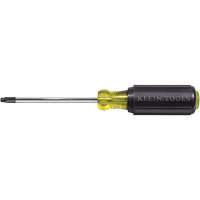 Tournevis Klein a/manche caoutchout&eacute;-Tournevis Torx &agrave; tige ronde Distribution Jean Lapalme