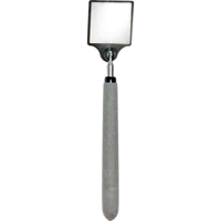 Acrylic Inspection Mirror, Square, 2" L x 2" W, Telescopic Distribution Jean Lapalme