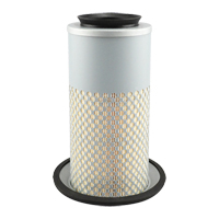 PA3833 &eacute;l&eacute;ment de filtre &agrave; air Distribution Jean Lapalme