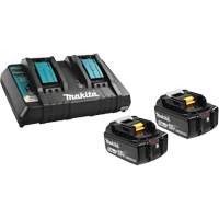 Li-Ion Battery & Dual-Port Charger Kit, 18 V, Lithium-Ion Distribution Jean Lapalme