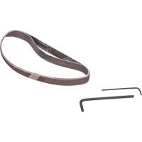 Ponceuse &agrave; bande, 13" - 3/8", 16 pi³/min, 1/4" NPTF Distribution Jean Lapalme