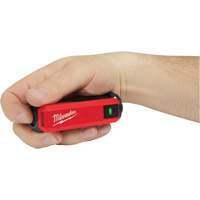 Alimentation et chargeur USB Redlithium, 4 V, Lithium-ion Distribution Jean Lapalme