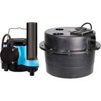Drainosaur&reg; Sump Pump, 29 GPM, 115 V, 9 A, 1/3 HP Distribution Jean Lapalme